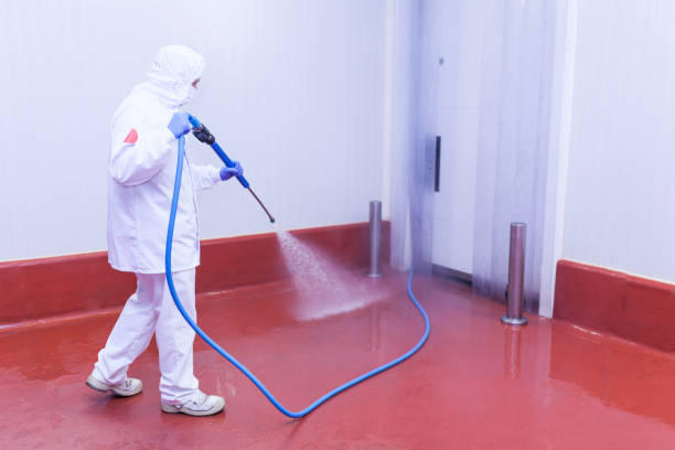 Best Paint Preparation  in Underwood Petersville, AL