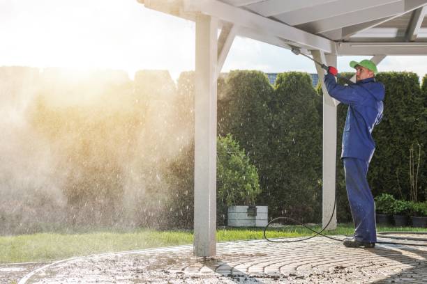 Best Animal Enclosure Cleaning  in Underwood Petersville, AL