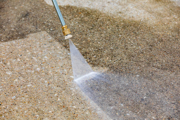 Best Pool Deck Cleaning  in Underwood Petersville, AL